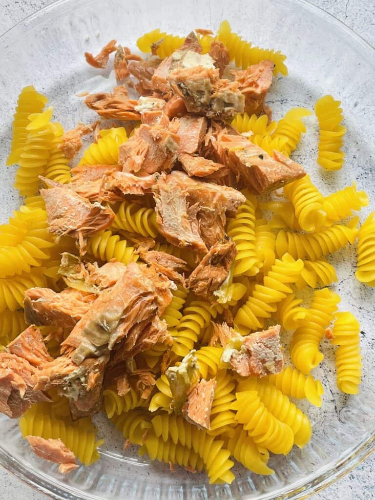 Pasta and flaked salmon